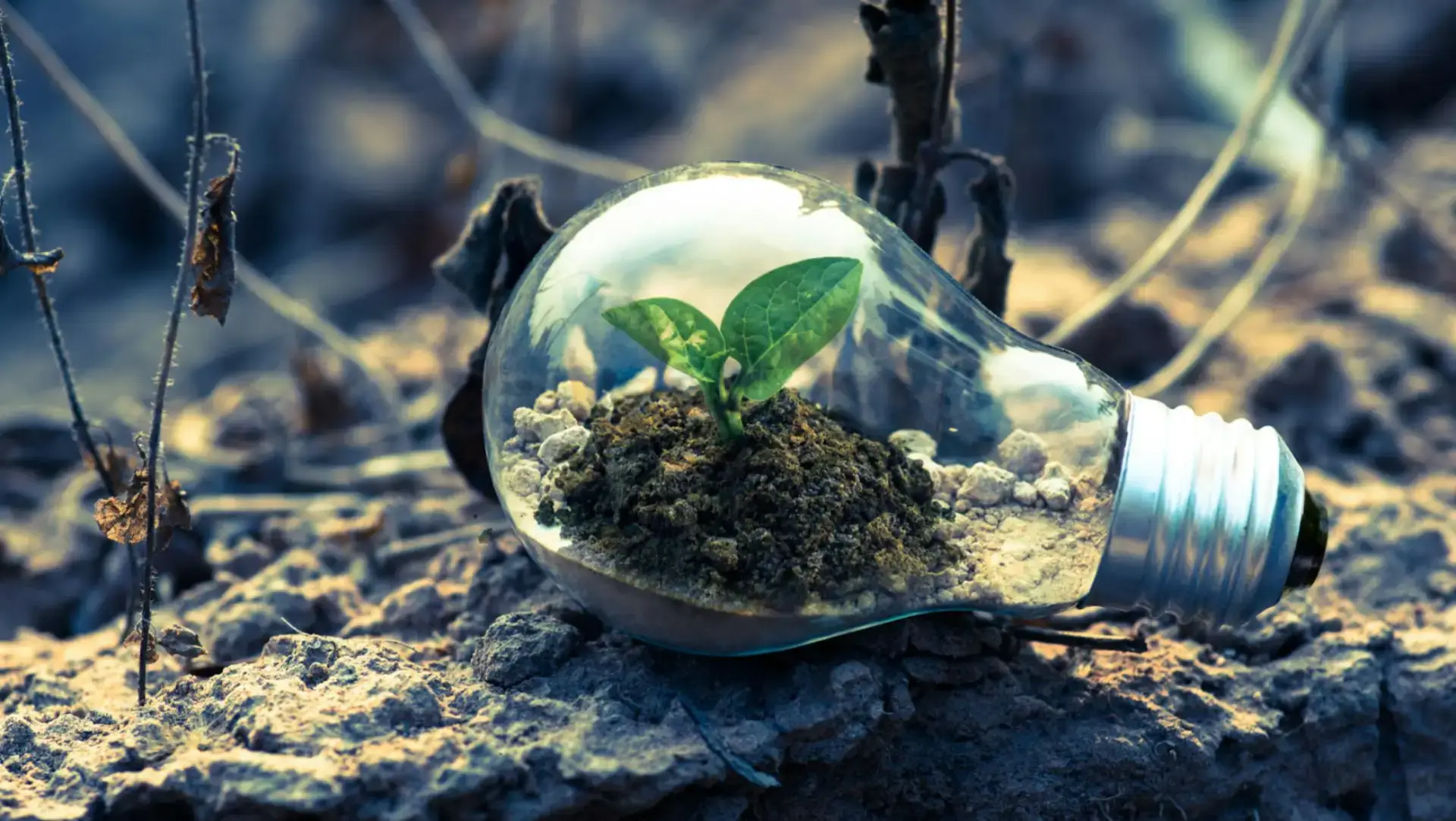 Audit chauffage renouvelable